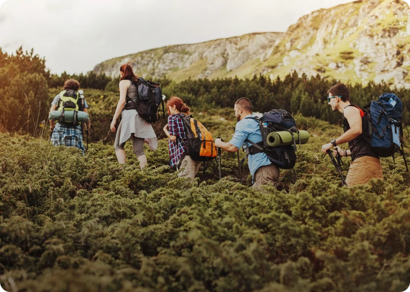 Hikers trekking through lush green landscape